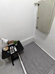 The Tanamera (D16), Condominium #480074771